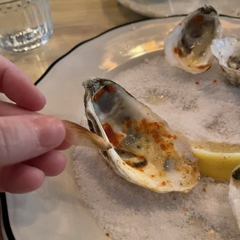 Haberdish - Found this in our oysters - can't say I'll be coming back here anytime soon - Southern Near Me - Charlotte, North Carolina Haberdish - Found this in our oysters - can't say I'll be coming back here anytime soon - Southern Near Me - Charlotte, North Carolina