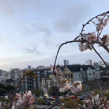 Alamo Square - Parks Near Me - San Francisco, California Alamo Square - Parks Near Me - San Francisco, California