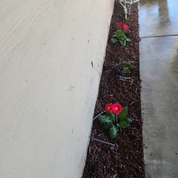 Lorenzo's Landscaping Services - Tree Services Near Me - upland, California