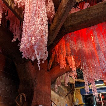 Amy's Ice Creams - A surprise tree greets you at this location. - Ice Cream & Frozen Yogurt Near Me - Austin, Texas Amy's Ice Creams - A surprise tree greets you at this location. - Ice Cream & Frozen Yogurt Near Me - Austin, Texas