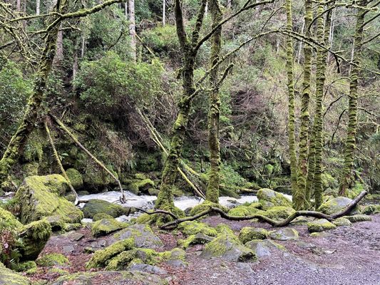 Torc Waterfall by null