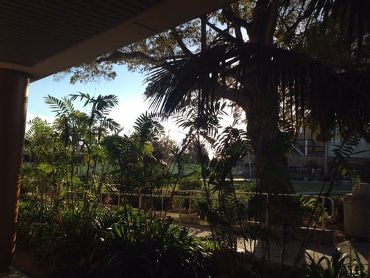 Ventura College by null