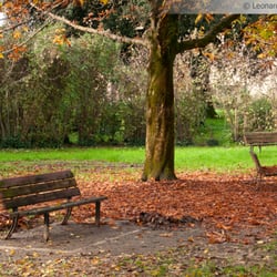 Villa Vogel - L'angolo in fondo, dietro ai giochi per i bimbi