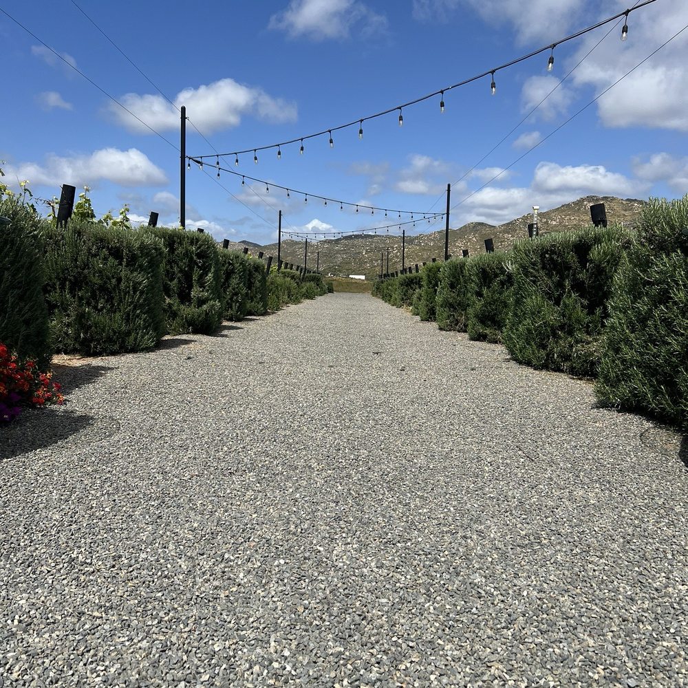Trevista Vineyards - Wine Tasting Room Near Me - Ensenada, BCN