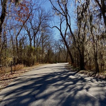 Palmetto State Park - Trail Views/ Driving through RV side of PSP - Parks Near Me - Gonzales, Texas Palmetto State Park - Trail Views/ Driving through RV side of PSP - Parks Near Me - Gonzales, Texas