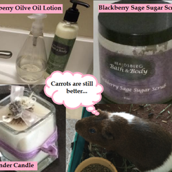 Healdsburg Bath and Body - What's up with the guinea pig? http://shineandsparklereport.blogspot.com/2014/02/ssr-product-reviews-healdsburg-bath-and.html