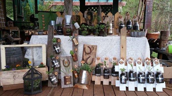 Sweet Springs Family Farm by null