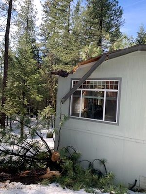Emergency Tree Removal - We are available when you need it the most. There is no job too big or too small and we will come out to you no matter what time in your time of need! Contact us today by clicking the link below to schedule your Free Estimate! Emergency Tree Removal - We are available when you need it the most. There is no job too big or too small and we will come out to you no matter what time in your time of need! Contact us today by clicking the link below to schedule your Free Estimate!