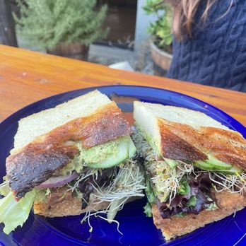 Bloc Somerville - Veggie Sandwich Special - Bakeries Near Me - Somerville, Massachusetts