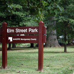 Elm Street Urban Park