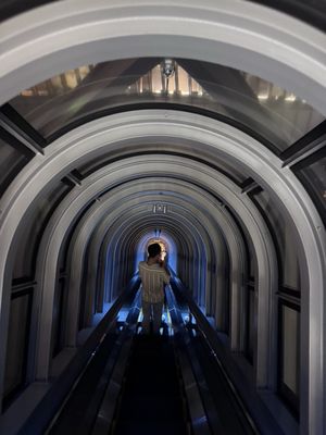 Umeda Sky Building by null