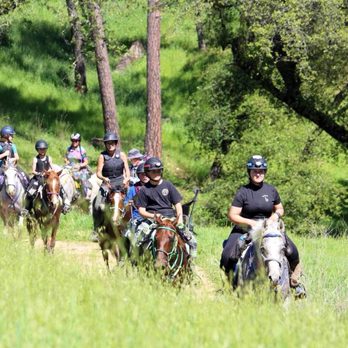Crater Hill Esquestrian - Horseback Riding Near Me - Newcastle, California Crater Hill Esquestrian - Horseback Riding Near Me - Newcastle, California