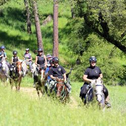 Crater Hill Esquestrian