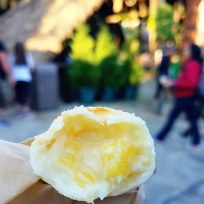 Pongu Pongu by null