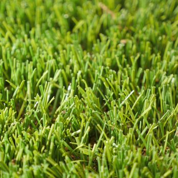 Greenr World Grass - a closeup of the green grass - Landscape Architects or Designers Near Me