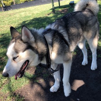 Eden Greenway Dog Park - Dog Parks Near Me - Hayward, California
