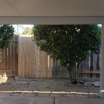 Pacific Builders - Installed patio cover before power and fan installation. - General Contractors Near Me - Sacramento, California