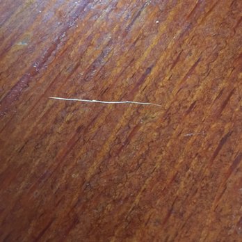Athenian Garden - What looks like one of two dog hairs found in the falafel sandwich that my coworker ordered. - Greek Near Me - Absecon, New Jersey