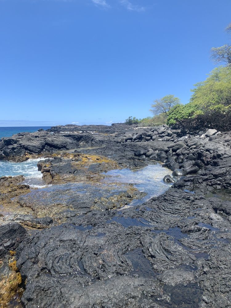 OCEAN SAFARIS KAYAK ADVENTURES 88 Photos & 165 Reviews Rafting