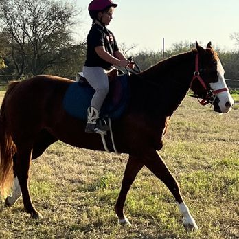 Blueberry Creek Stables - Horseback Riding Near Me - Converse, Texas Blueberry Creek Stables - Horseback Riding Near Me - Converse, Texas
