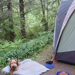 Sunstrip Campground - Typical Campsite