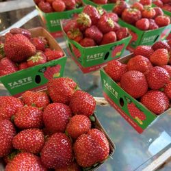 Brookdale Fruit Farm Stand - Strawberries