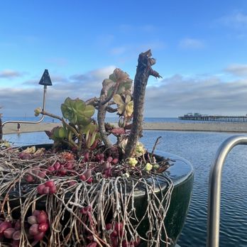 Paradise Beach Grille - View from patio - New American Near Me - Capitola, California