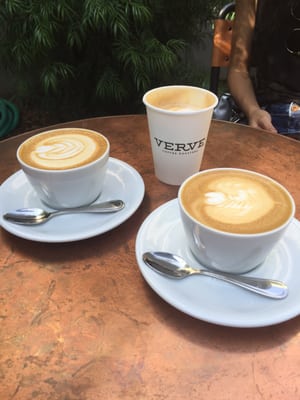 Verve Coffee Roasters by null