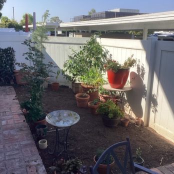 Gilberto Garden Landscape,tree Triming and Removal - Gardeners Near Me Gilberto Garden Landscape,tree Triming and Removal - Gardeners Near Me
