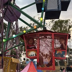 The Rolling Pumpkin - Rides perfect for ages 3-8 years old