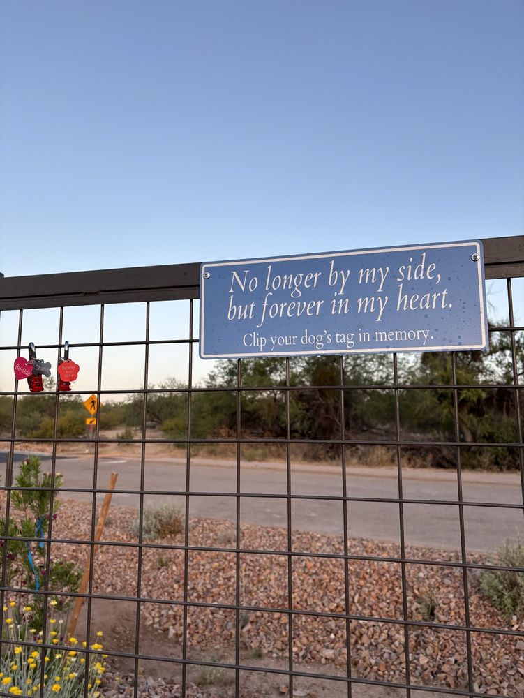 WAGGING TAILS DOG PARK Updated August 2024 8330 E Escalante Rd