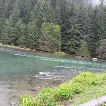 Chilkat Guides - Tours Near Me - Skagway, Alaska