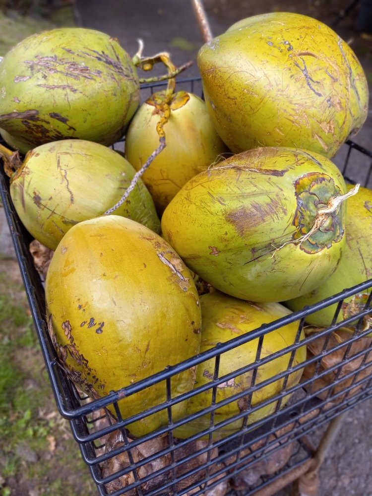 Iao Valley Farm Stand Logo