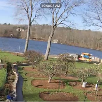 DeNisi Tree Service - Property After - Tree Services Near Me - Hamden, Connecticut