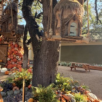 NorthPark Center - Tree House - Shopping Centers Near Me - Dallas, Texas NorthPark Center - Tree House - Shopping Centers Near Me - Dallas, Texas