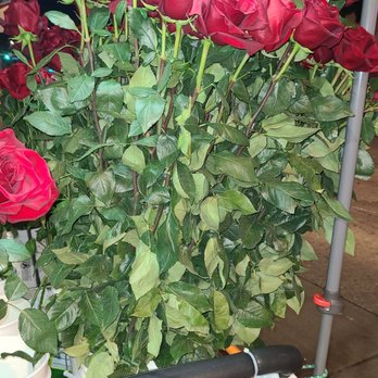 Lovely Roses - Florists Near Me - Huntington Park, California