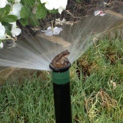 Rainmaker Irrigation of Northern Michigan