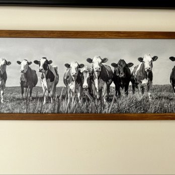 Huddy's - Nostalgic photo of dairy cows on wall at Huddy's - Ice Cream & Frozen Yogurt Near Me - Hudsonville, Michigan