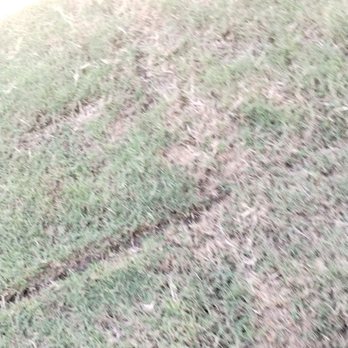 Double H Landscape - Landscaping Near Me - La Coste, Texas Double H Landscape - Landscaping Near Me - La Coste, Texas