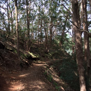 Aiea Loop Trail - Hiking Near Me - Aiea, Hawaii