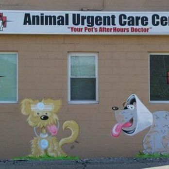 Animal Urgent Care Center - Veterinarians Near Me - Wheeling, West Virginia Animal Urgent Care Center - Veterinarians Near Me - Wheeling, West Virginia