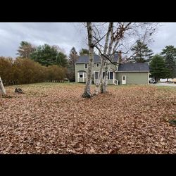 Roycroft Landscape - Clean up season