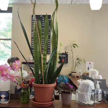 Gimme Coffee - Interior - Coffee & Tea Near Me - Ithaca, New York