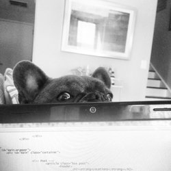 The Uniform Stop - Updating our website!