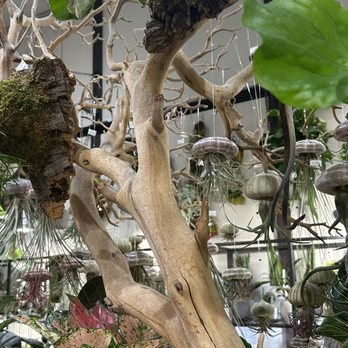 Utsuwa Botanical Design - Nurseries & Gardening Near Me - New York, New York