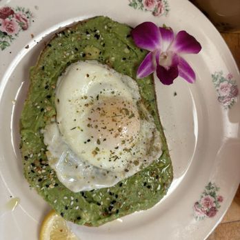 The Modern Rose - Avocado toast - Coffee & Tea Near Me - Hollywood, Florida The Modern Rose - Avocado toast - Coffee & Tea Near Me - Hollywood, Florida