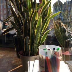 Café de Gruyter - I guess it's a good place for kids. It definitely is for sun and beer.