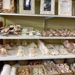 Seawall Souvenirs & Bike Rental - Novelty shells & gift items