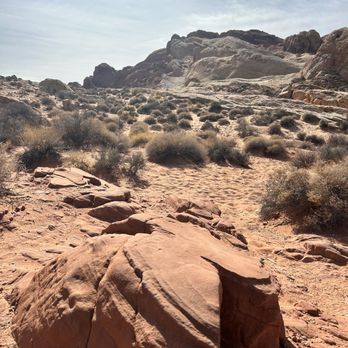 Pink Jeep Tours - Travel Services Near Me - Las Vegas, Nevada Pink Jeep Tours - Travel Services Near Me - Las Vegas, Nevada