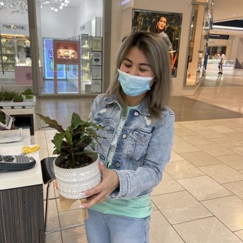 Grow a Leaf Shop - Ashley showing me this cool pot! - Nurseries & Gardening Near Me - Arcadia, California